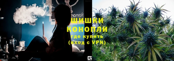стаф Киренск